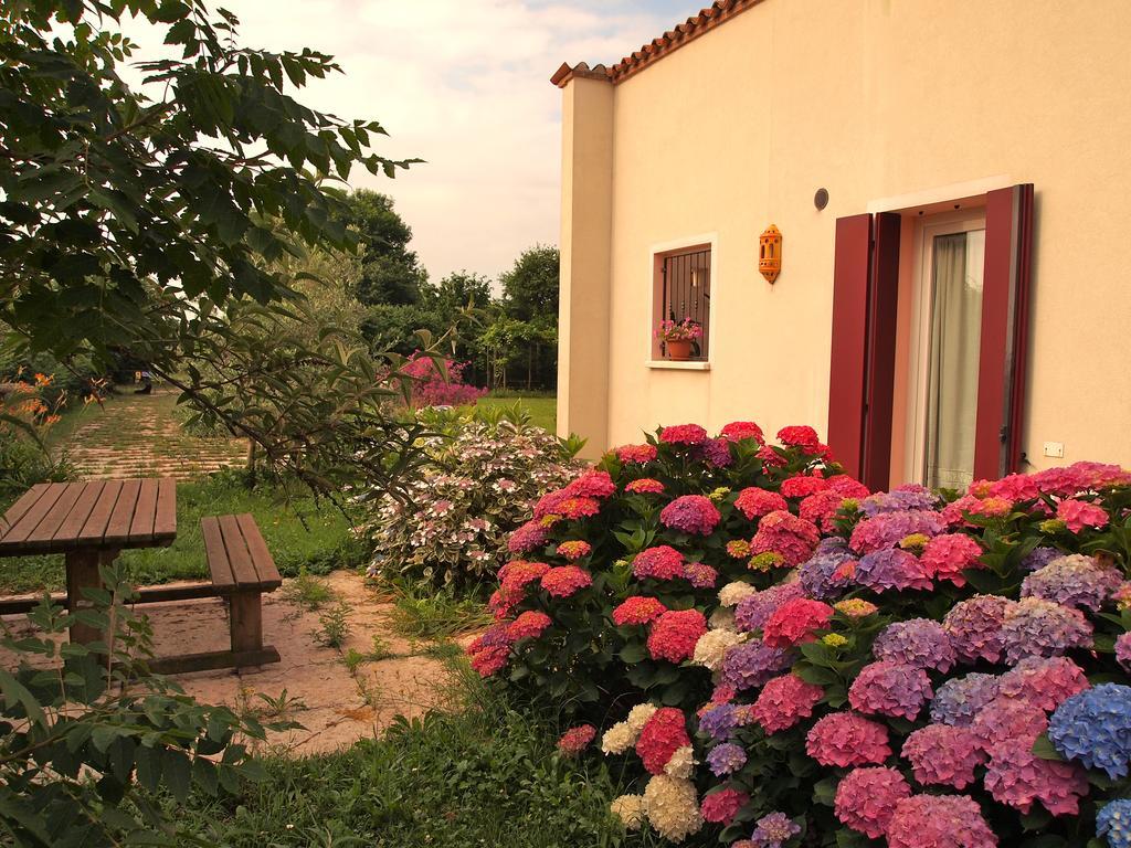 Il Magicorto Farm stay *