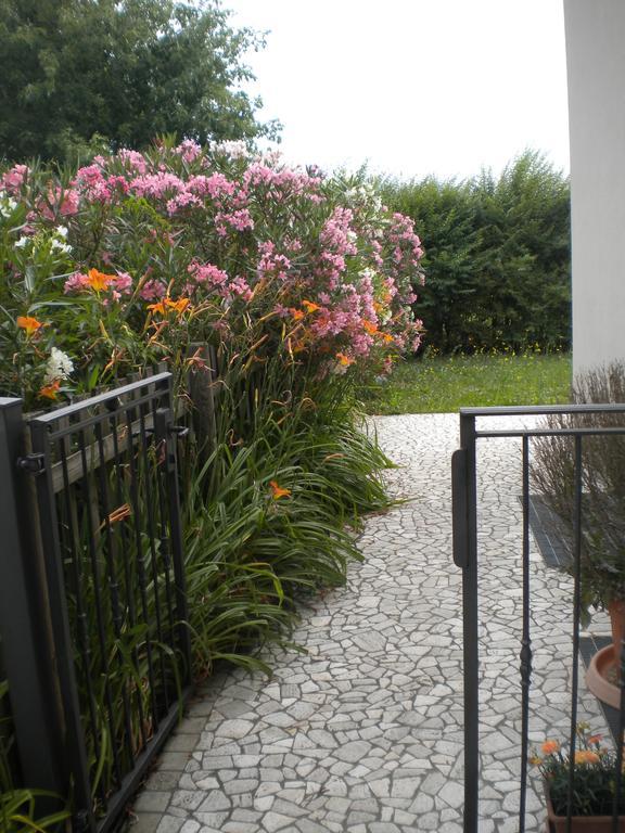 Il Magicorto Farm stay *