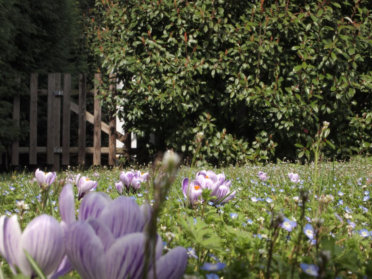 Il Magicorto Farm stay Cassola
