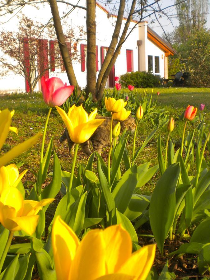 Farm stay Il Magicorto