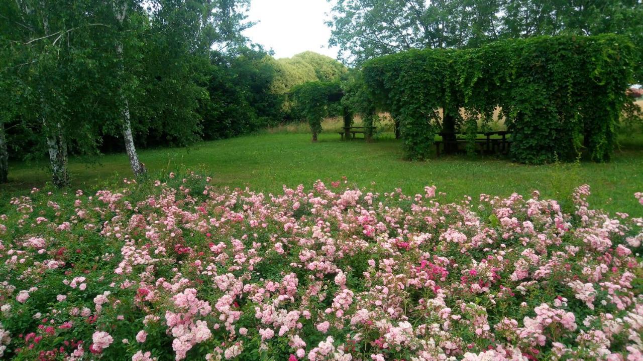 Farm stay Il Magicorto *
