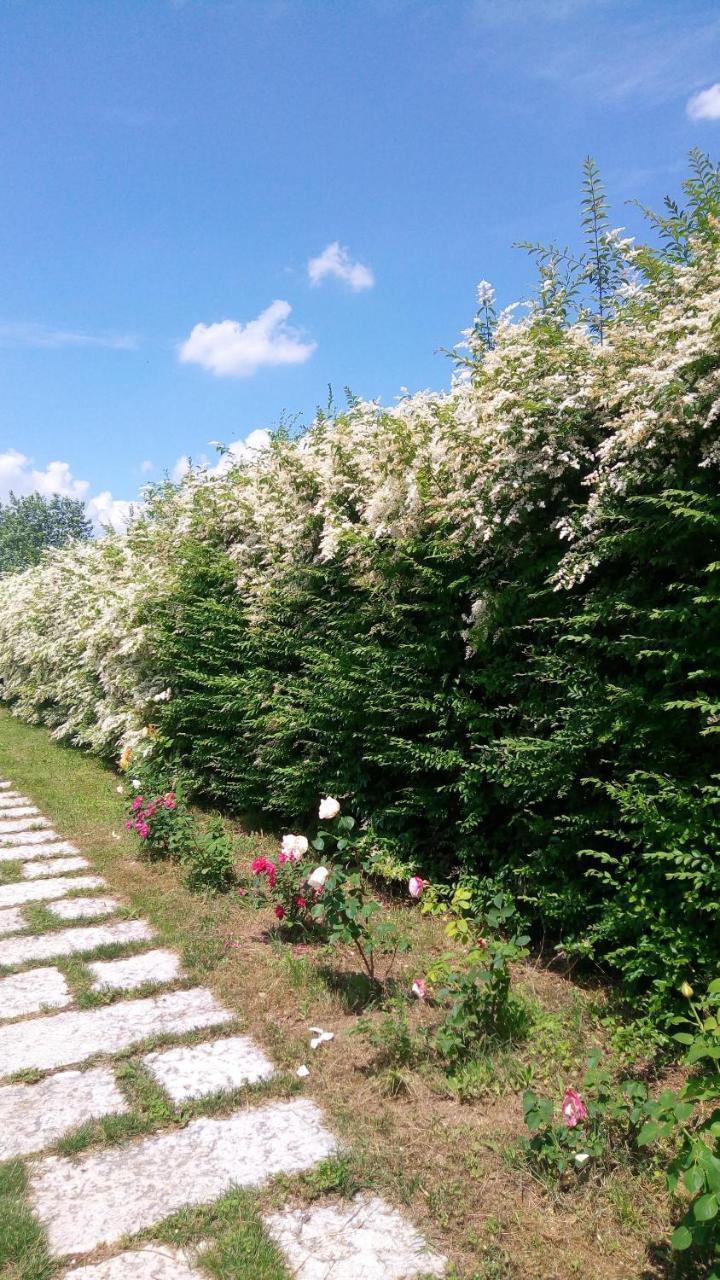 Farm stay Il Magicorto *