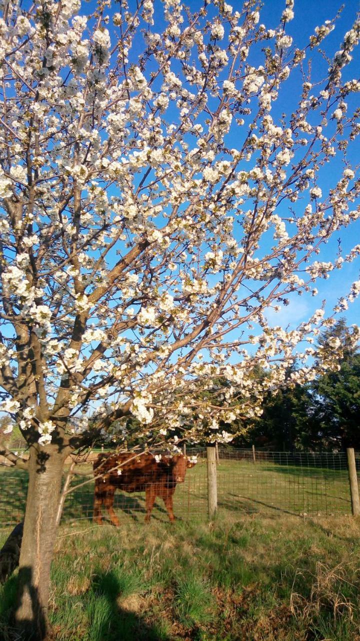 Il Magicorto Farm stay Cassola